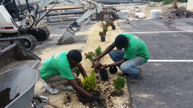 Green Island Landscaping Green Island Landscaping Cayman Islands