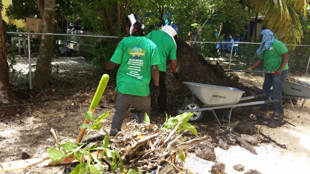 Green Island Landscaping Green Island Landscaping Cayman Islands