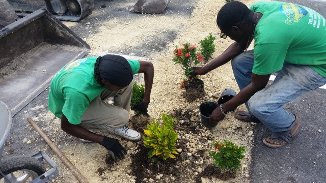 Green Island Landscaping Green Island Landscaping Cayman Islands