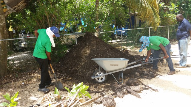 Green Island Landscaping Green Island Landscaping Cayman Islands