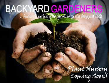 Backyard Gardeners Backyard Gardeners Cayman Islands