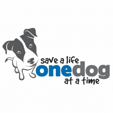 One Dog At A Time