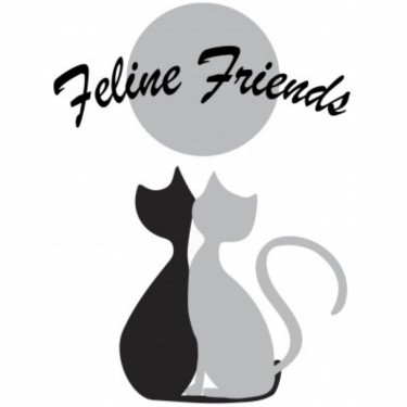 Feline Friends