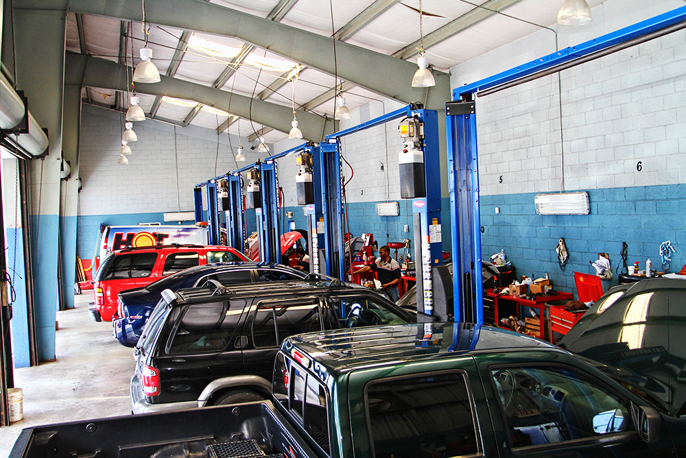 Cayman Islands Business Directory ecay Online